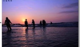 海阳在线 观看,聚焦海阳发展，展现城市风采